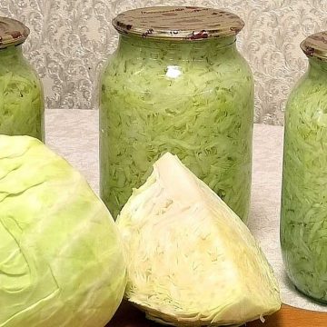 Капуста на зиму без уксуса и моркови